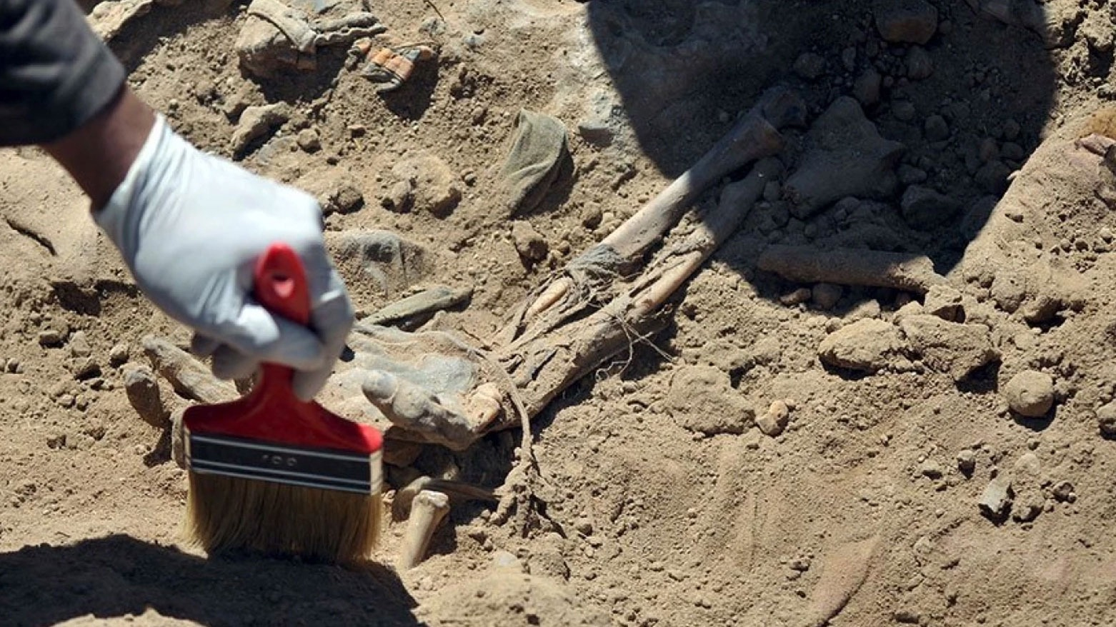 پشکنینی DNA بۆ ڕوفاتی 22 قوربانیی ئێزدی کۆتایی هات؛ بە مەراسیمێکی شایستە بەخاک دەسپێردرێن